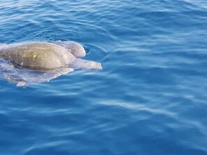 Imagen sin descripción, 4 de 64, botón