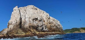 Imagen sin descripción, 2 de 61, botón