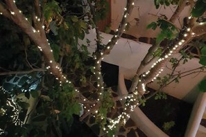 Imagen sin descripción, 5 de 61, botón