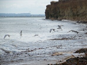 Niet-geclassificeerde afbeelding, 2 van 13, knop