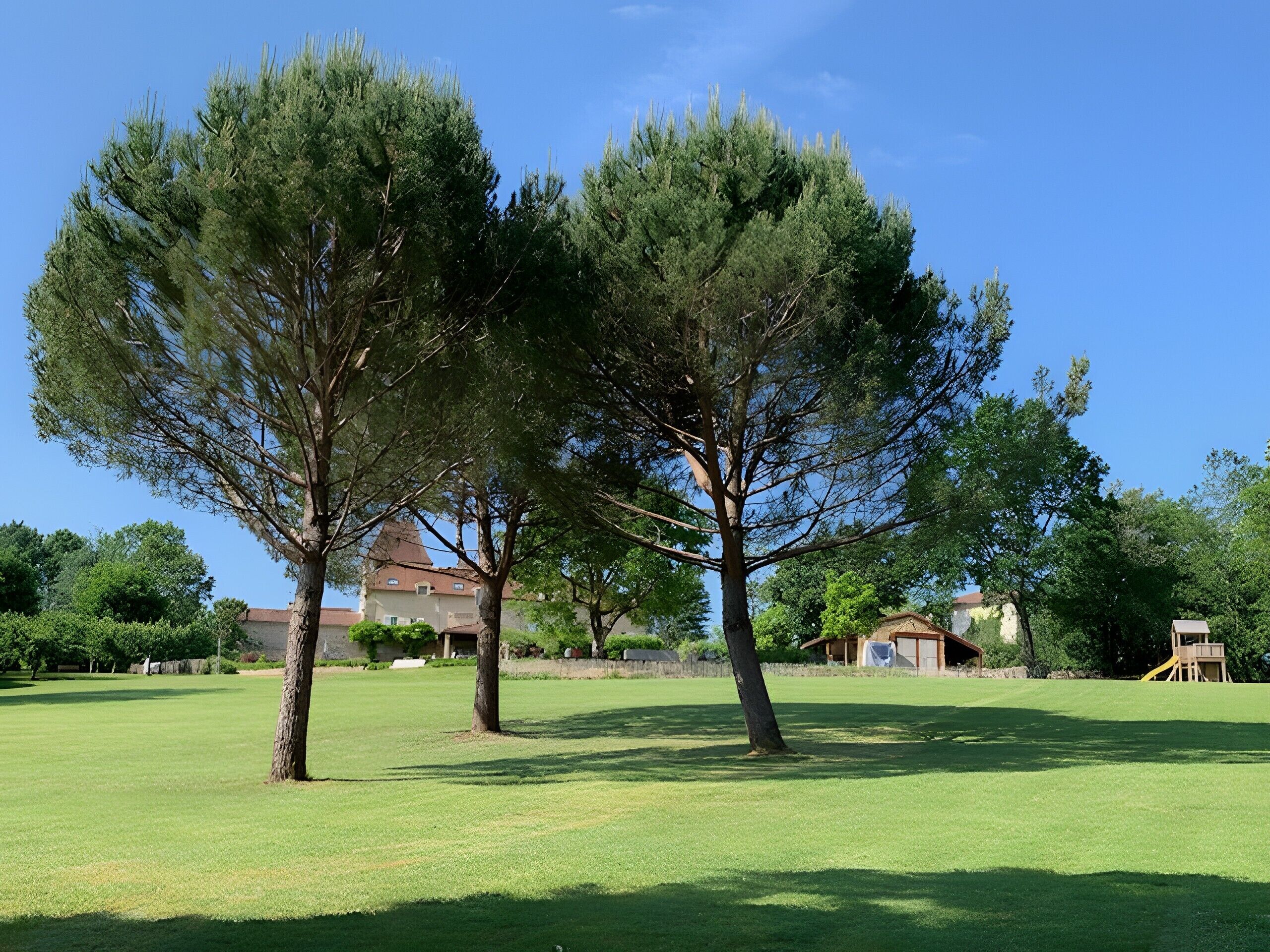 Parco della struttura