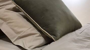 1 bedroom, iron/ironing board, bed sheets