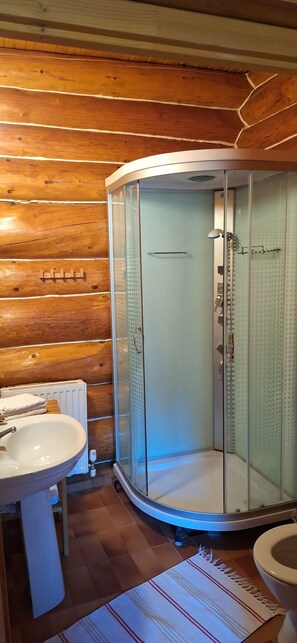 Shower, hair dryer, bidet, towels