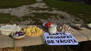 A picnic setup with cheese, fruits, and a sign reading "LAPTE PROASPAT DE VĂCUTA".