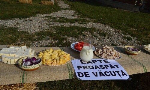 Chalet Farmhouse Rosehip Flower Brasov Bran Rasnov