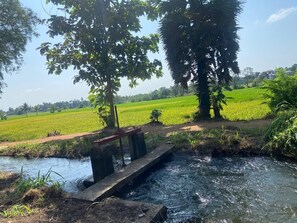 Unclassified image, 4 of 11, button - Gimanhala Tissawawa (Anuradhapura)