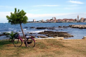 A coastal scene with a bicycle parked by a grassy area, a palm tree, and a rocky shoreline. - Cozy Flat in Central Umag (Umag)