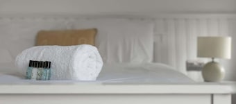 Immaculate Apartment | Historic Lincoln | Wi-Fi