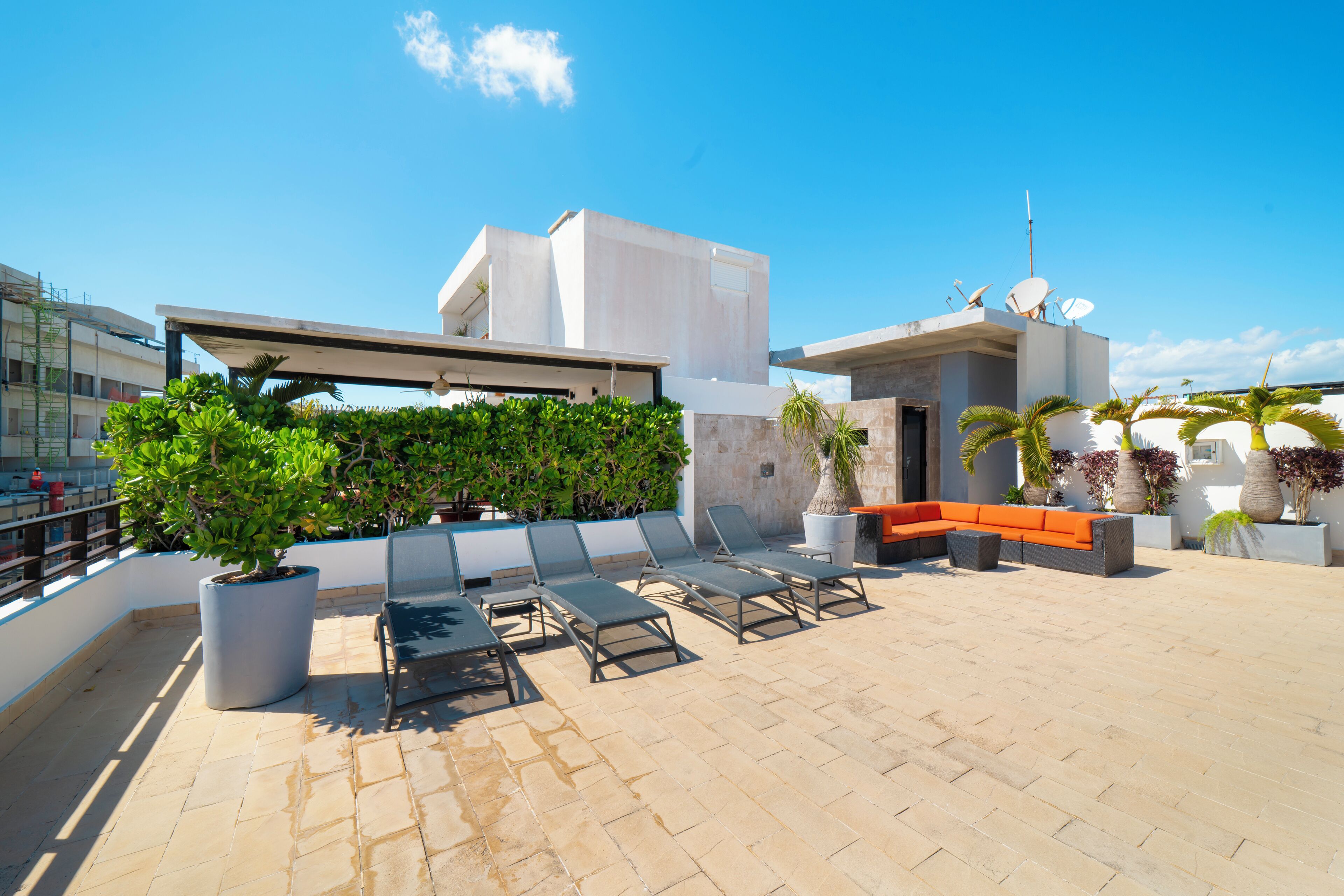 Terraza o patio
