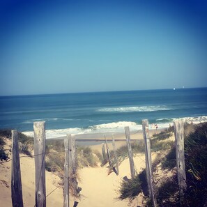 Oklassificerad bild, 4 av 19, knapp