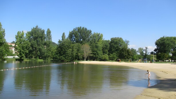 Un lac avec une plage de sable et des arbres en arrière-plan.