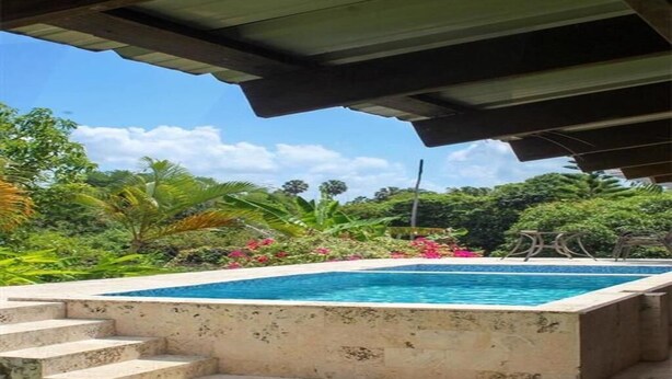 A rectangular swimming pool with steps leading up to it, surrounded by lush greenery and a clear sky. - A hidden ecological gem, a private Villa, in Salcedo, Dominican Republic (Salcedo)