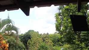 A view from a covered outdoor area with a wooden bench, lush greenery, and a hanging planter. - A hidden ecological gem, a private Villa, in Salcedo, Dominican Republic (Salcedo)