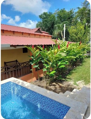 Immagine non classificata, 4 di 29, pulsante