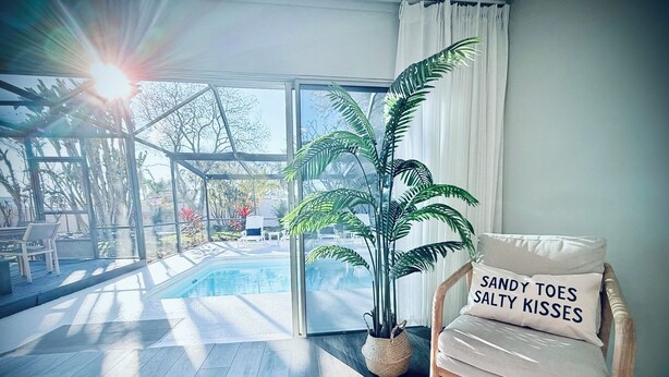 Una habitación con suelo de madera, una silla con cojín, una planta grande en maceta y vistas a una piscina al aire libre.