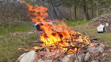 A campfire with logs and rocks, surrounded by grass and trees.