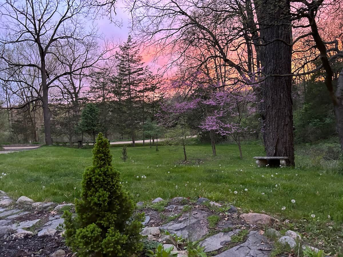 A park with a grassy area, trees, a bench, and a stone path.