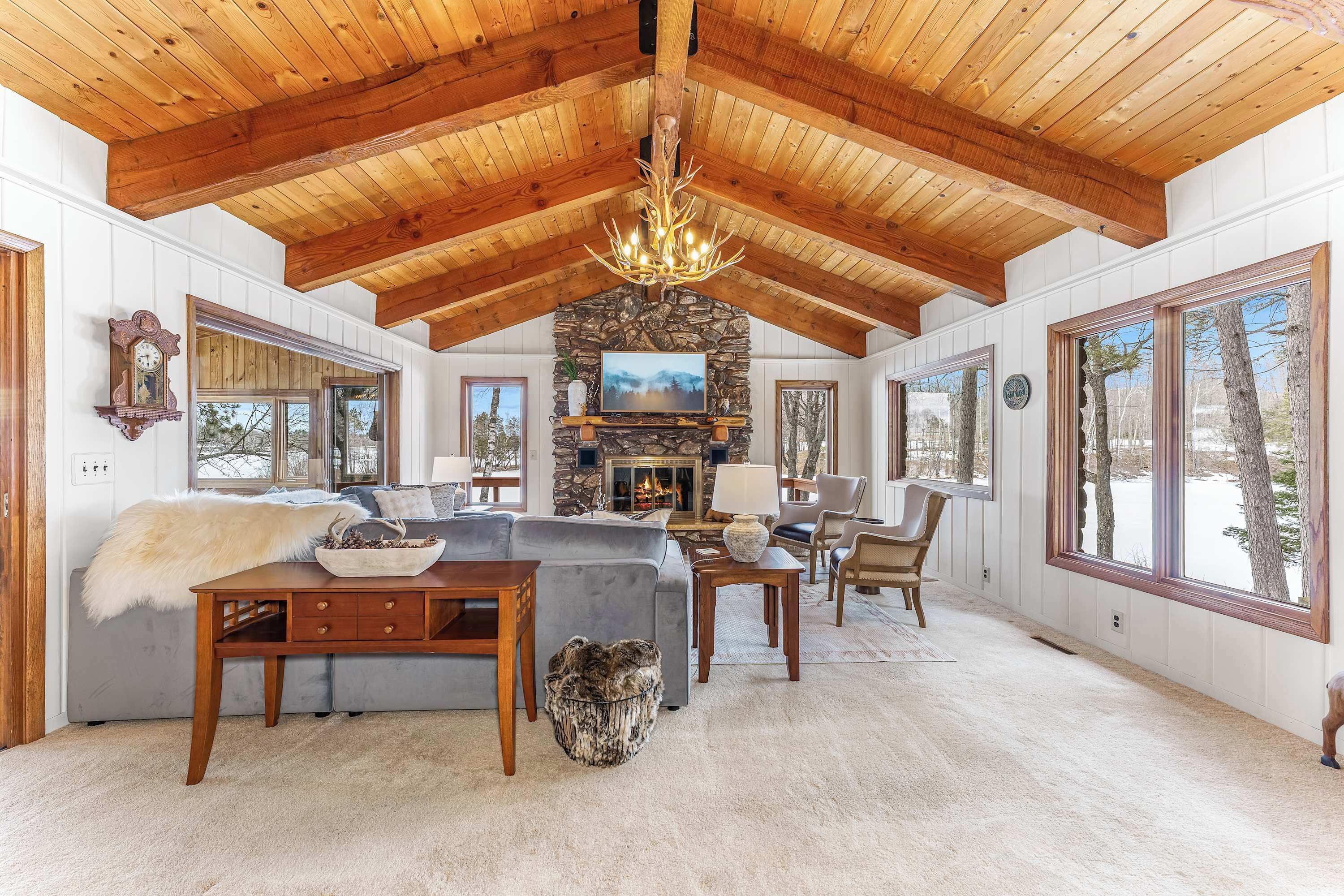 Télévision, cheminée, espaces bureaux