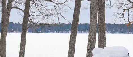 Un paisaje nevado con árboles desnudos y un banco de madera cubierto de nieve.