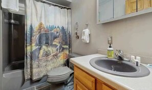 Shower, hair dryer, towels, shampoo - Dog-Friendly Home with Dock, Kayaks, Hot Tub, Game Room & AC! (Eagle River)