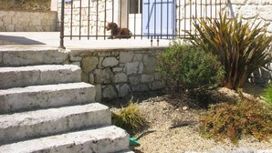 A stone building with a balcony, a dog, and a small garden.