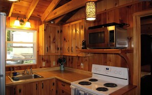 Microondas, horno, placa de cocina y lavavajillas