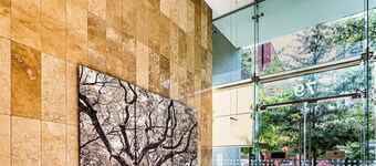 Lumavista by Nest Collection