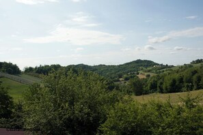 Unclassified image, 4 of 13, button - ca' D'la Pèisa (Odalengo Grande)