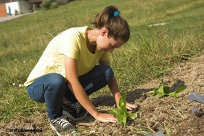 Imej tidak diklasifikasikan, 2 daripada 13, butang