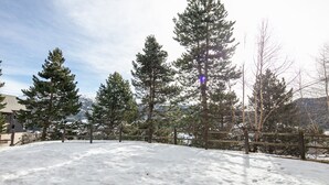 Eine verschneite Landschaft mit hohen Kiefern und einem Holzzaun.