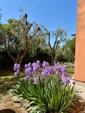 Property grounds - The Blue Knoll apartment (Cavaion Veronese)