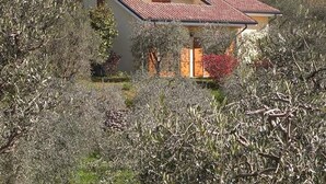 Een huis met pannendak, omgeven door weelderige begroeiing.