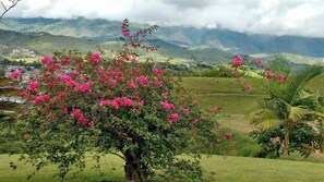 Cabane, 4 chambres, accessible aux personnes à mobilité réduite, fumeurs | Extérieur
