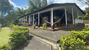 Uma área de estar coberta ao ar livre com uma rede, plantas em vasos e um caminho de pedra.