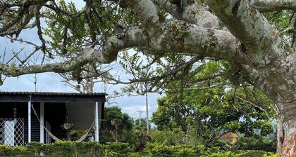 A Cabin in the Mountains