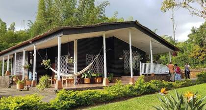 A Cabin in the Mountains