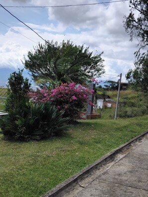 Garden - A Cabin in the Mountains (Dagua)
