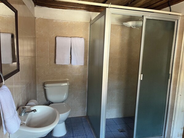 Un baño con inodoro, lavabo y ducha.