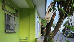 A room with a green wall, a window with decorative bars, a long table, and a tree outside.