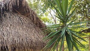 Un giardino con una struttura in paglia, diverse piante di cactus e un tavolino con sedie.