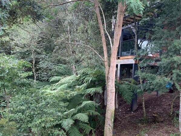A modern building with a glass facade surrounded by dense forest.