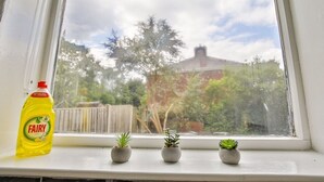 Una ventana con tres pequeñas macetas y una botella de detergente Fairy a la izquierda.