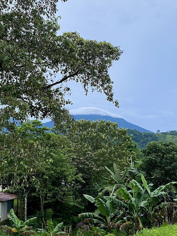 Photo non classée, 1 sur 21, bouton