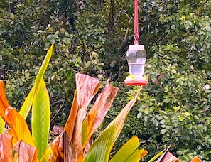 Photo non classée, 4 sur 21, bouton