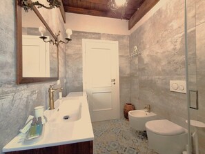 Shower, hair dryer, bidet, towels