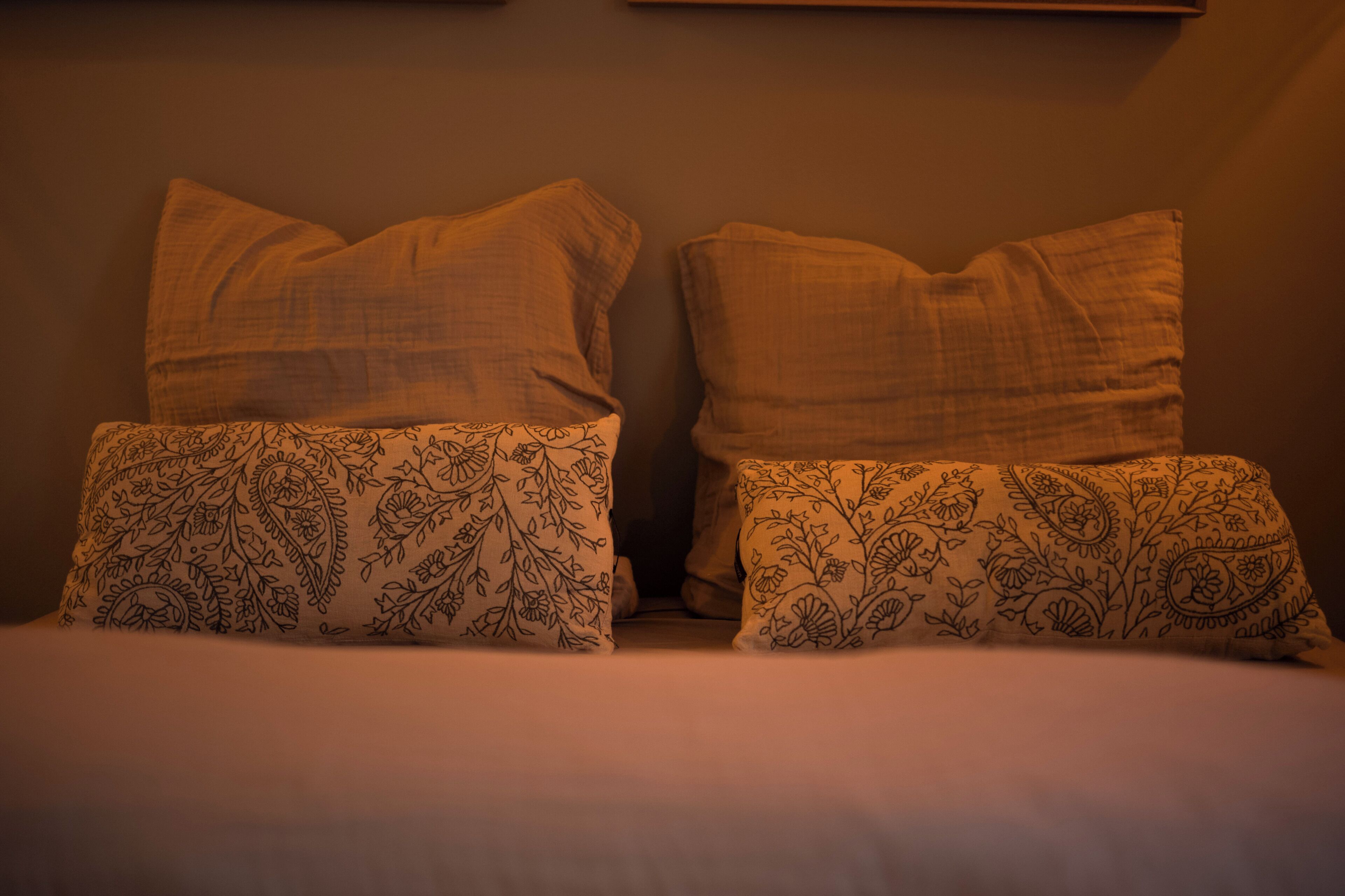 A bed with two pillows, one with a paisley pattern and the other plain.