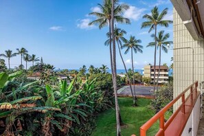 Property grounds - Central AC Ocean View 2bedroom /2bath Sleeps 6 Condo across Magic Sands Beach (Kailua-Kona)