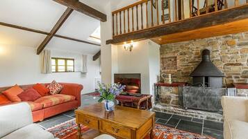 TV connectée, cheminée, baby-foot, table de tennis de table