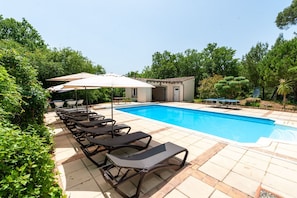 Ein Swimmingpool mit Liegestühlen und Sonnenschirmen, umgeben von Grünpflanzen.