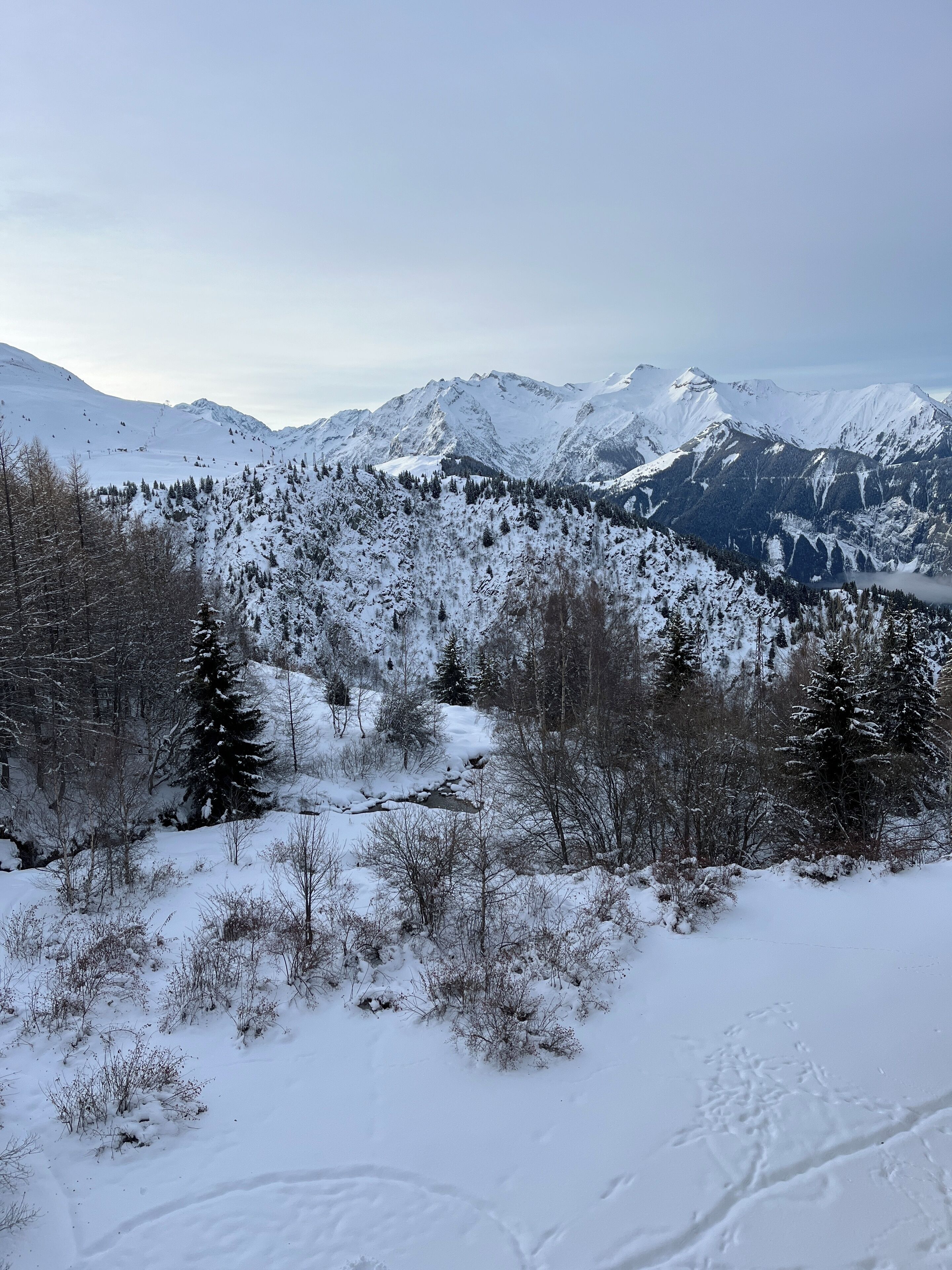 Paisaje nevado de montañas con bosques densos y cumbres cubiertas de nieve.